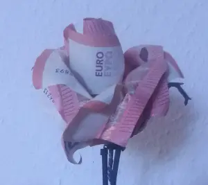 Eine Geld-Rose aus fünf Geldscheinen