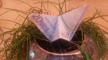 Schmetterling Aus Einem Geldschein Falten Origami Mit
