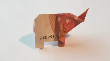 Elefant Aus Einem Geldschein Falten Origami Mit Geldscheinen