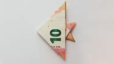 Fisch Aus Einem Geldschein Falten Origami Mit Geldscheinen