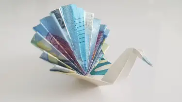Pfau Aus Einem Geldschein Falten Origami Mit Geldscheinen